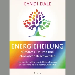 Waschbär Energieheilung für Stress, Trauma und chronische Beschwerden. Outlet