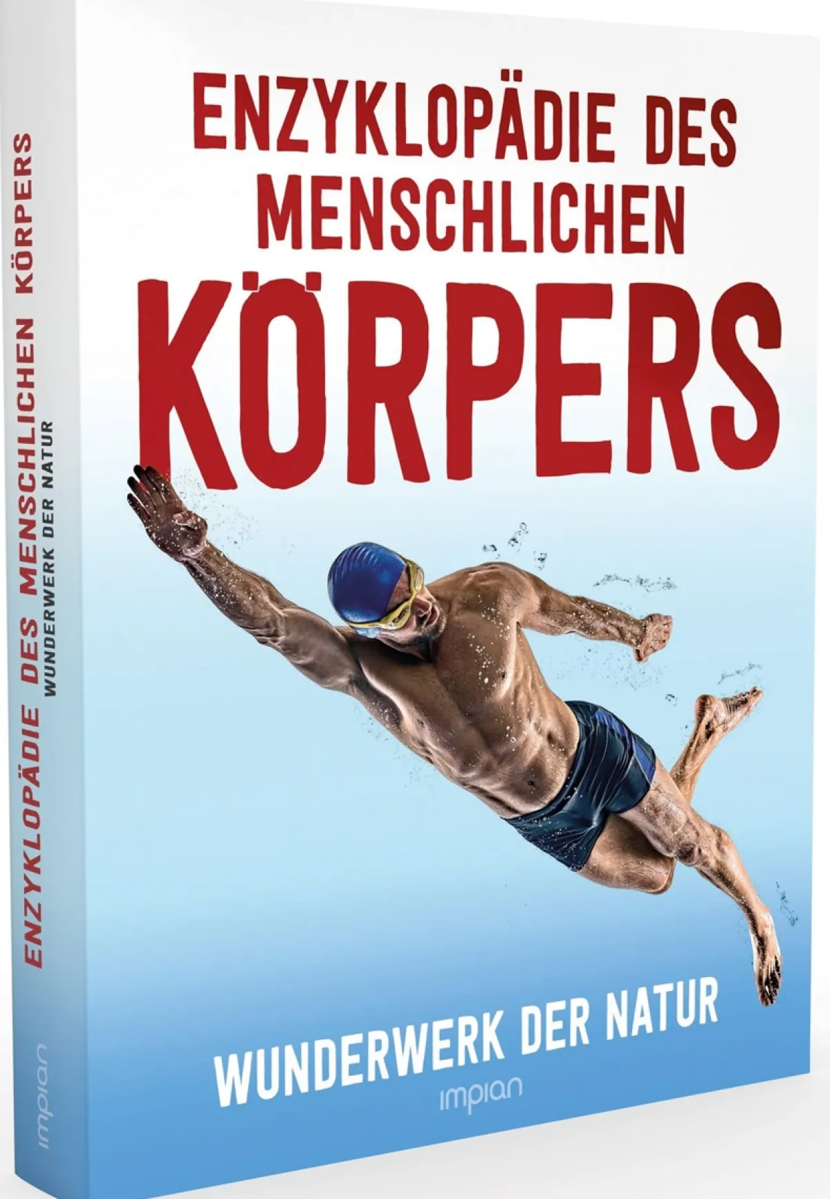 Waschbär Enzyklopädie des menschlichen Körpers. Wunderwerk der Natur. Hot