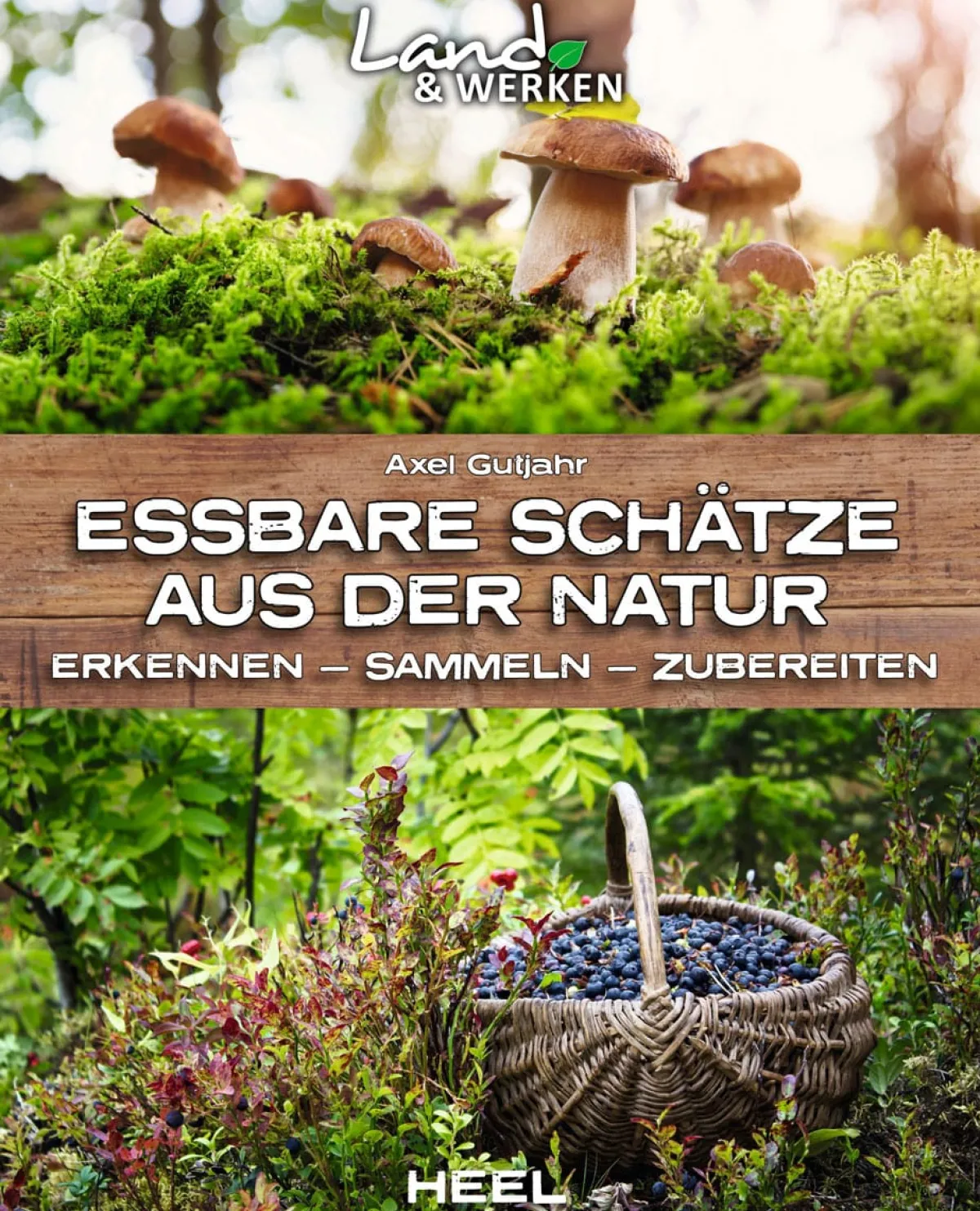 Waschbär Essbare Schätze aus der Natur. Erkennen, Sammeln, Zubereiten. New