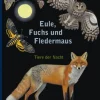Waschbär Eule, Fuchs und Fledermaus. Tiere der Nacht. Best