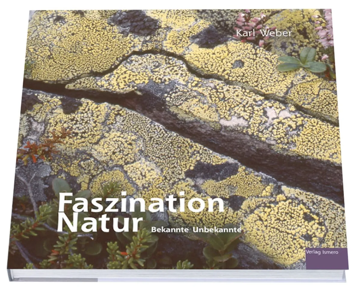 Waschbär Faszination Natur - Bekannte Unbekannte. Hot