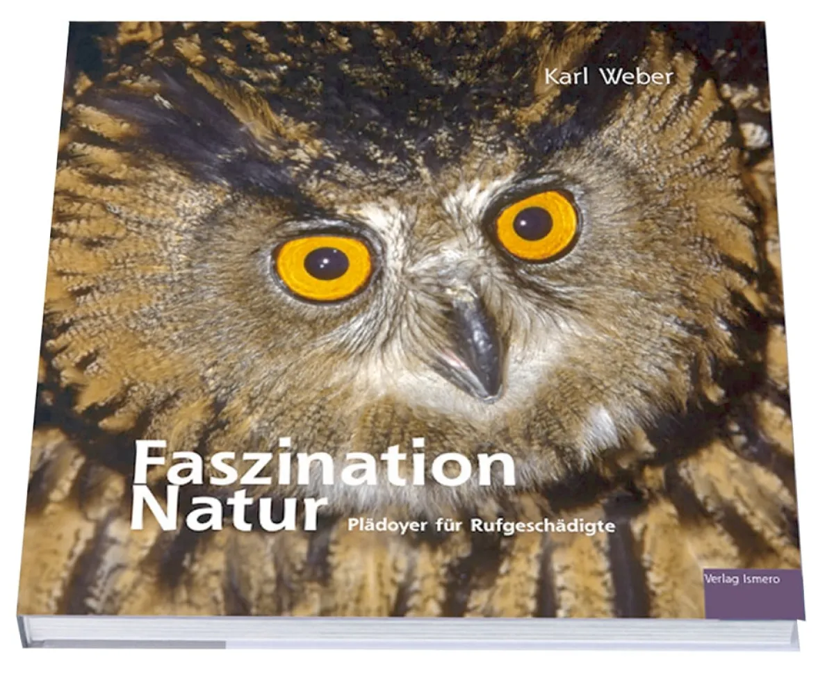 Waschbär Faszination Natur. Plädoyer für Rufgeschädigte. Clearance