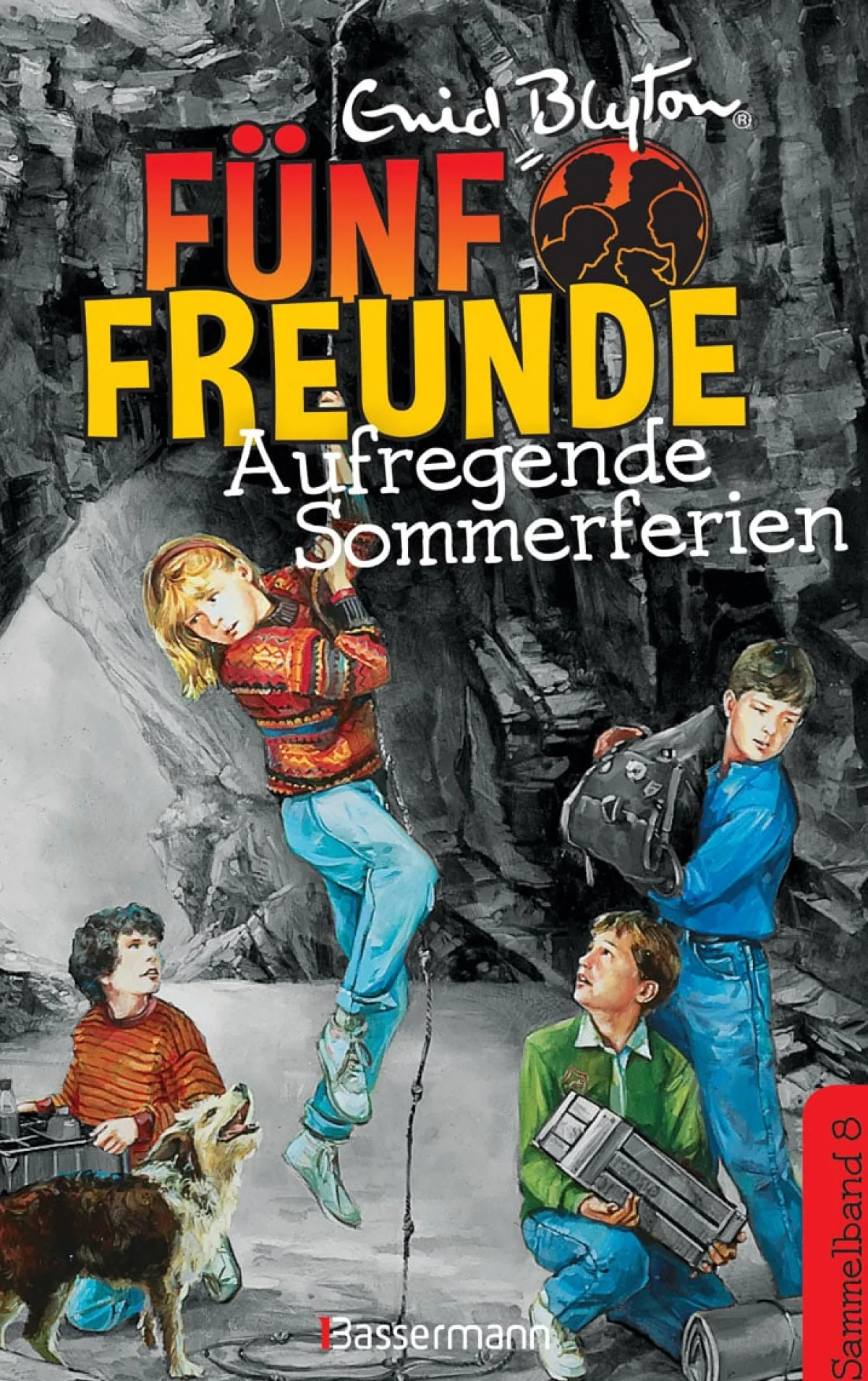 Waschbär Fünf Freunde. Aufregende Sommerferien. Sammelband 08. Hot