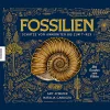 Waschbär Fossilien – Schätze von Ammoniten bis zum T. Rex. Mit Fossilien zum Fühlen. Discount