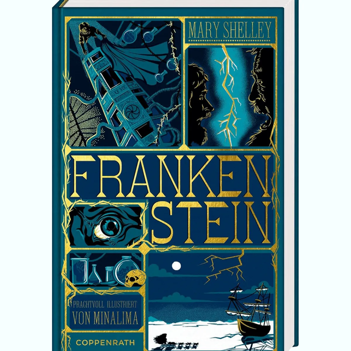 Waschbär Frankenstein. Outlet