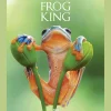 Waschbär Frog King. Der Frosch. Symbol der bedrohten Natur. Online