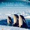 Waschbär Frozen Planet - Eisige Welten Best