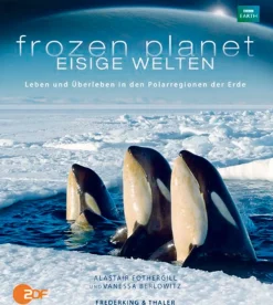 Waschbär Frozen Planet - Eisige Welten Best