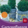 Waschbär Gartenpflanzen richtig überwintern. Hot