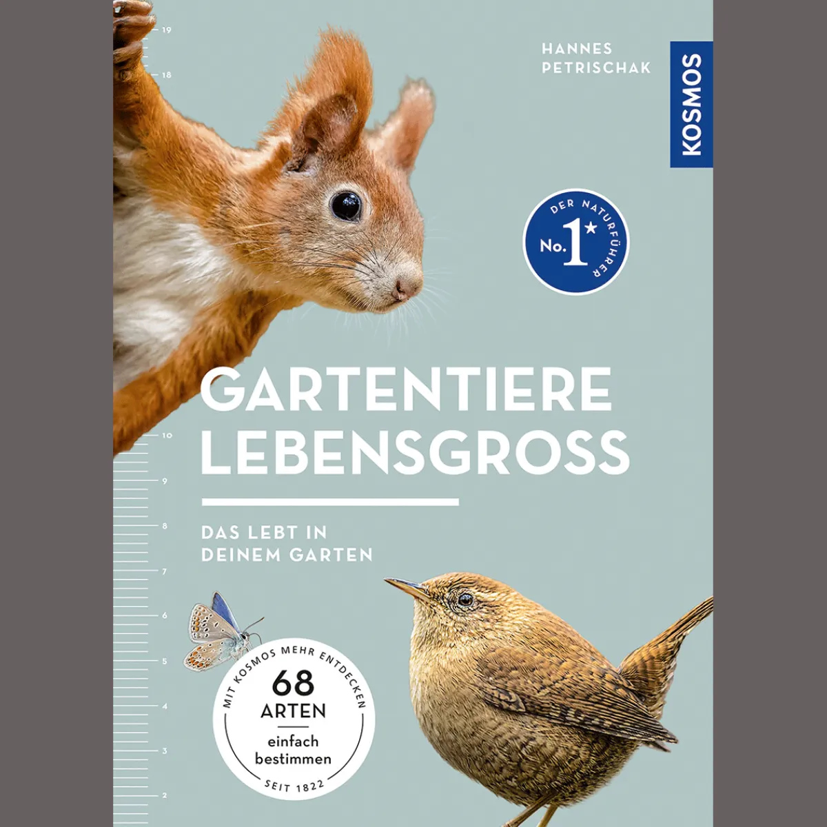 Waschbär Gartentiere lebensgroß. Clearance