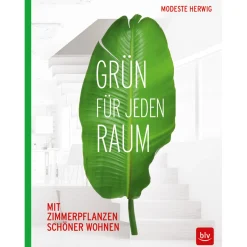 Waschbär Grün für jeden Raum. Mit Zimmerpflanzen schöner wohnen. Outlet