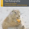 Waschbär Grundlagen Tierfotografie: Profifotos in 3 Schritten - Faszinierende Bildideen und ihre Umsetzung Best