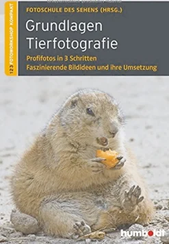 Waschbär Grundlagen Tierfotografie: Profifotos in 3 Schritten - Faszinierende Bildideen und ihre Umsetzung Best