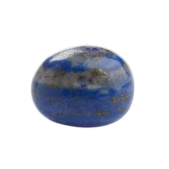 Waschbär Handschmeichler Lapislazuli. Hot