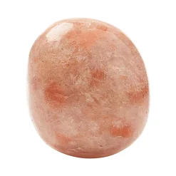 Waschbär Handschmeichler Sonnenstein. Hot