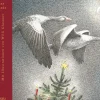 Waschbär Hans Fallada. Lüttenweihnachten. Clearance
