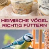 Waschbär Heimische Vögel richtig füttern. Clearance