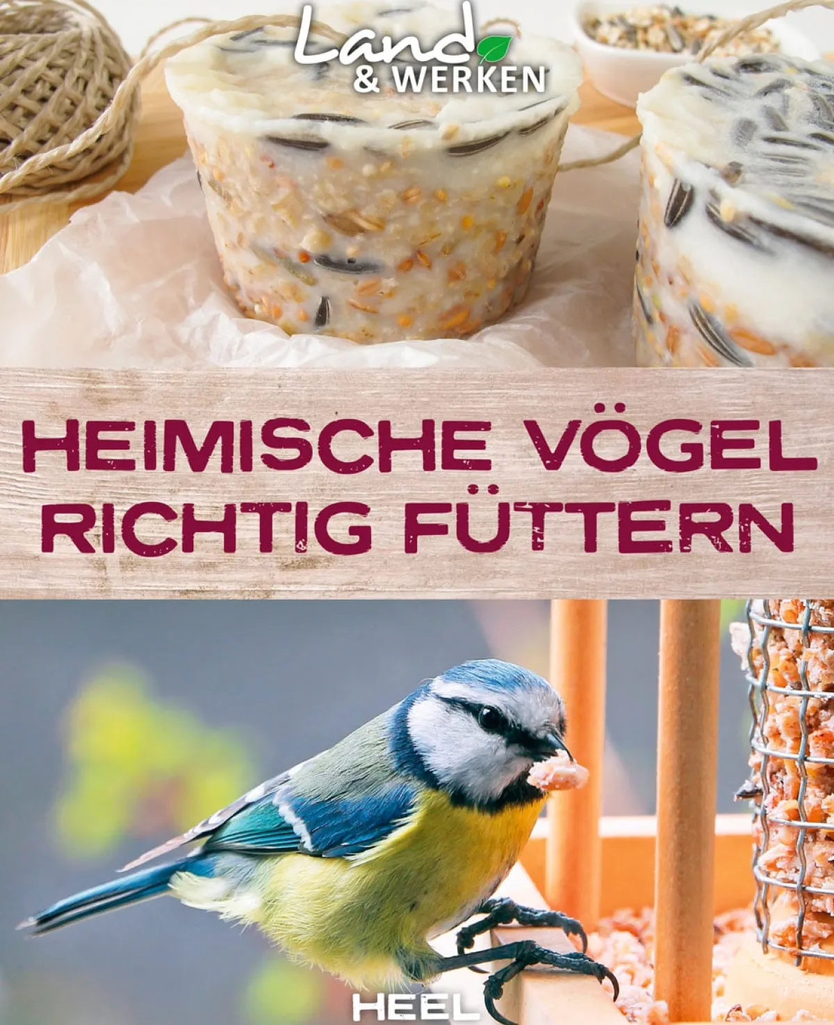 Waschbär Heimische Vögel richtig füttern. Clearance