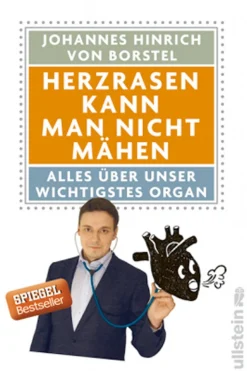 Waschbär Herzrasen kann man nicht mähen. Alles über unser wichtigstes Organ. Sale