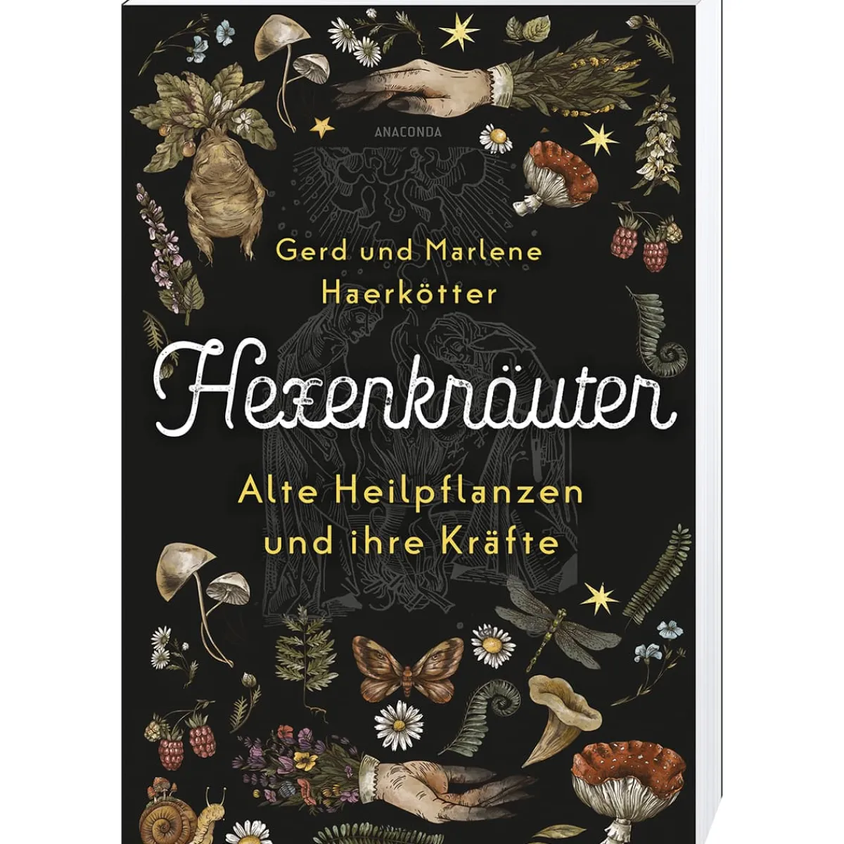 Waschbär Hexenkräuter. Alte Heilpflanzen und ihre Kräfte. Von Hexenfurz bis Teufelsdreck. Outlet