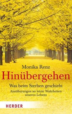 Waschbär Hinübergehen. Outlet