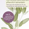 Waschbär Hormonelle Beschwerden pflanzlich behandeln Hot