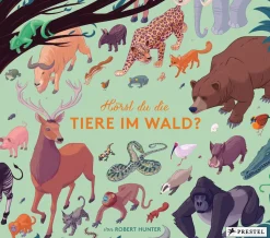 Waschbär Hörst du die Tiere im Wald?