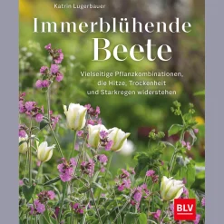 Waschbär Immerblühende Beete. Hot