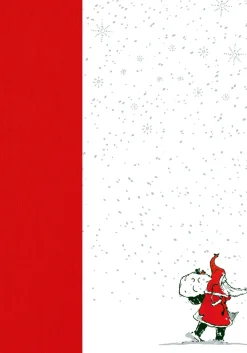 Waschbär J.R.R. Tolkien. Briefe vom Weihnachtsmann. Luxusausgabe im Schuber. Hot