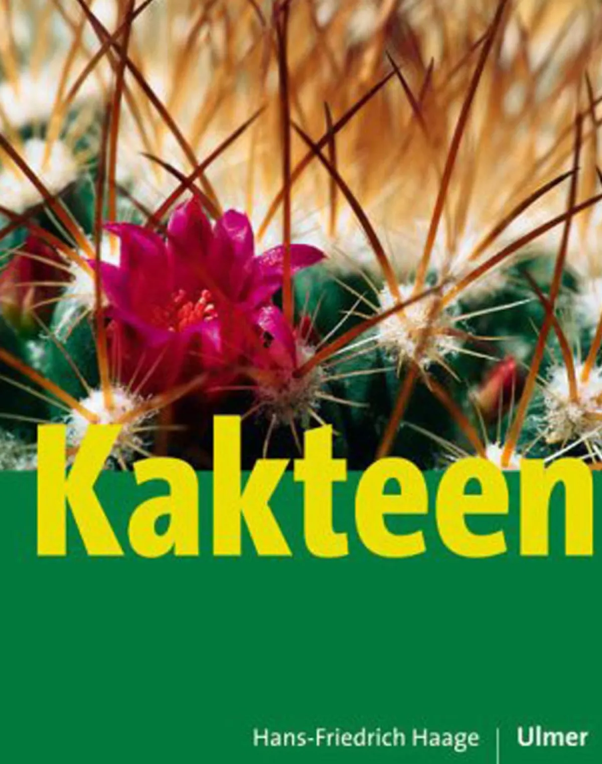 Waschbär Kakteen. Outlet