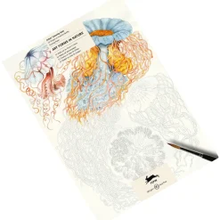 Waschbär Künstler-Malbuch »Art Forms in Nature«. Hot