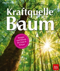 Waschbär Kraftquelle Baum. Rezepte und Rituale für Geist & Körper. Best