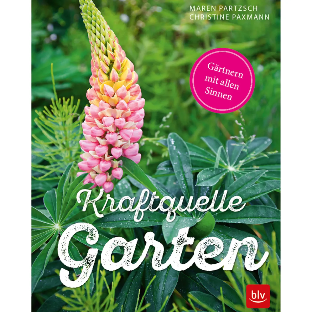Waschbär Kraftquelle Garten. Gärtnern mit allen Sinnen. Online