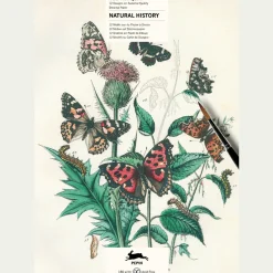 Waschbär Malbuch »Naturgeschichte«. New