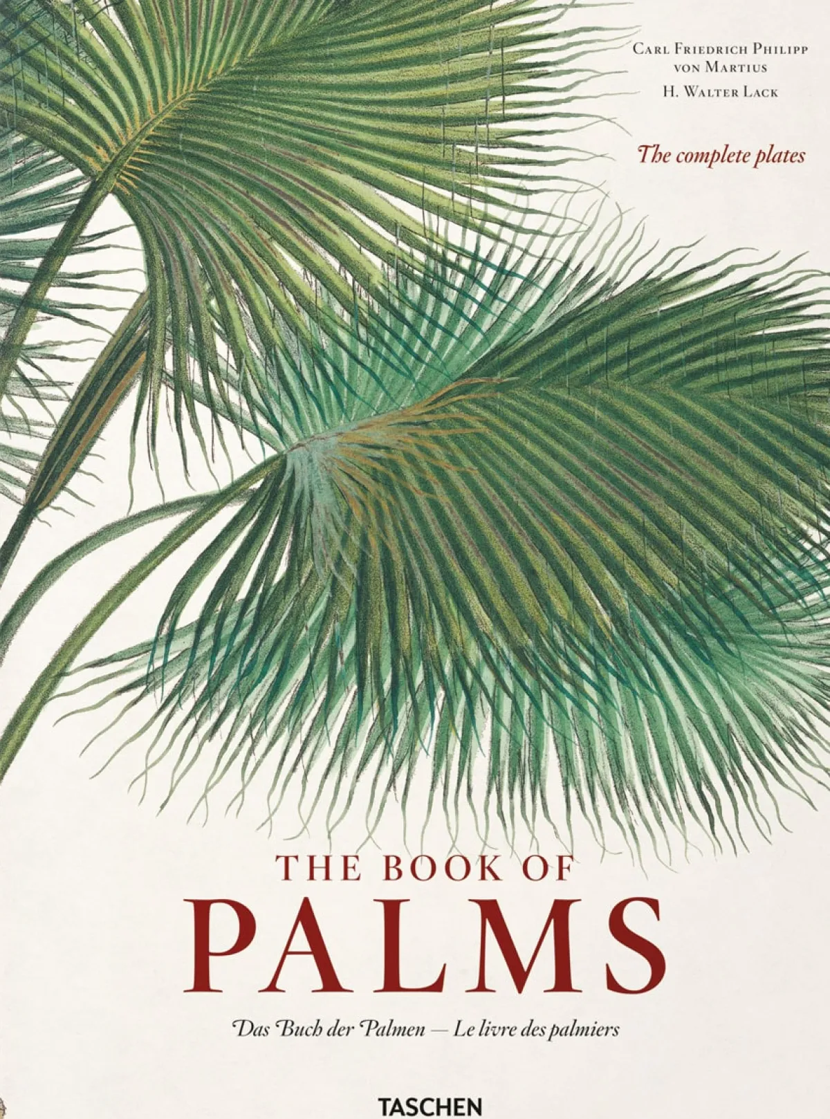 Waschbär Martius. The Book of Palms.