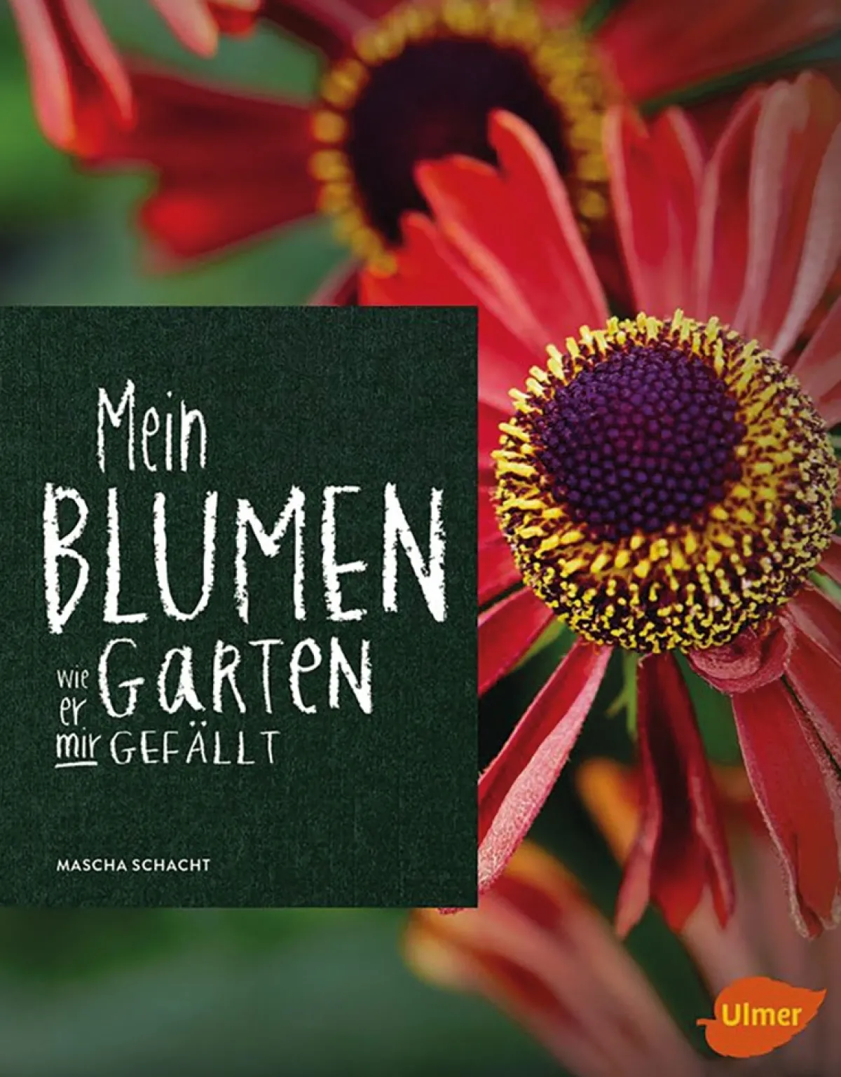 Waschbär Mein Blumengarten Clearance