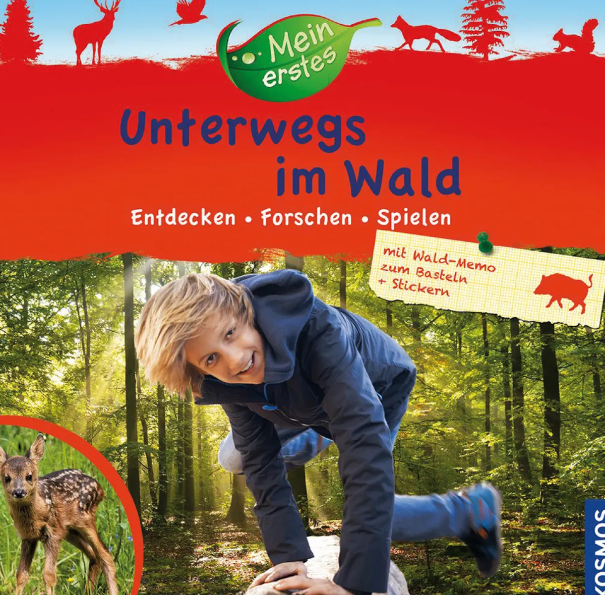 Waschbär Mein erstes Unterwegs im Wald. Entdecken, Forschen, Spielen.