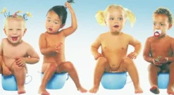 Waschbär Mein Kind wird sauber