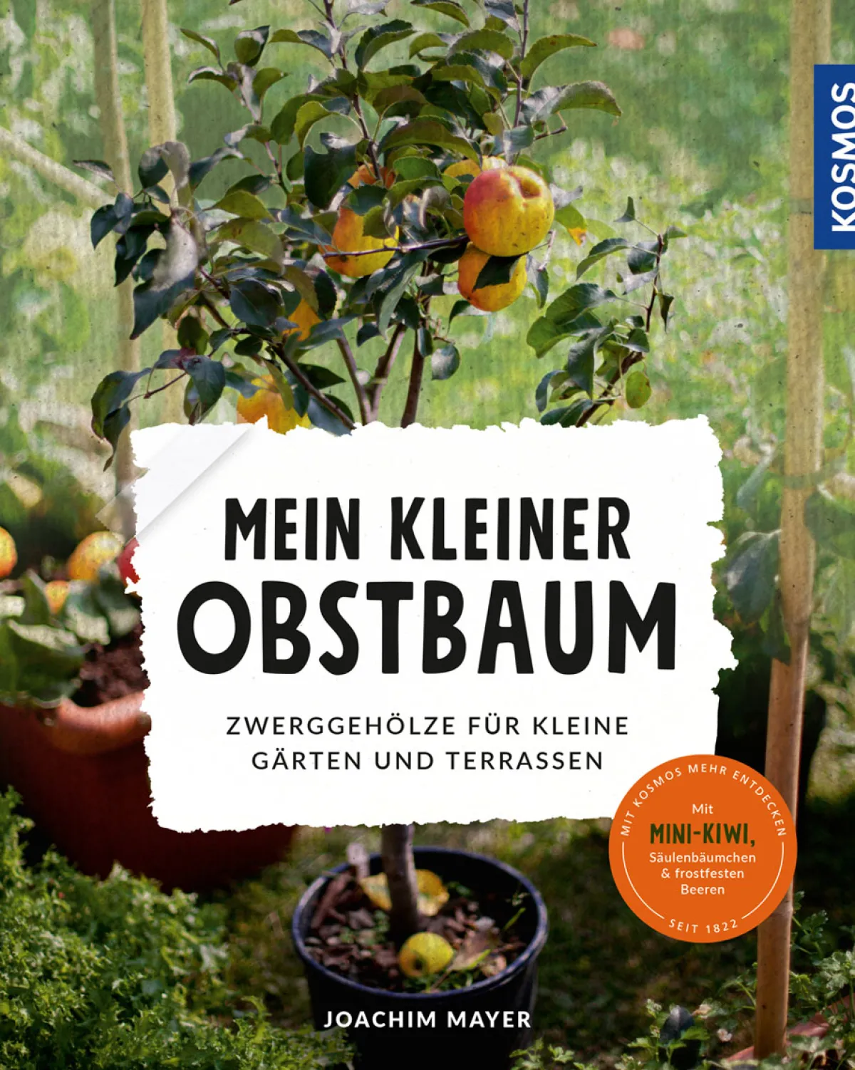 Waschbär Mein kleiner Obstbaum. Zwerggehölze für kleine Gärten und Terrassen.