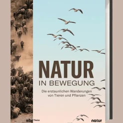 Waschbär Natur in Bewegung. Die erstaunlichen Wanderungen von Tieren und Pflanzen. Clearance