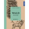 Waschbär Naturzeit Wald. Was er uns schenkt, wie wir ihn prägen. Clearance