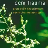 Waschbär Neue Wege aus dem Trauma. Erste Hilfe bei schweren seelischen Belastungen Online