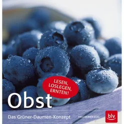 Waschbär Obst. Das Grüner-Daumen-Konzept.