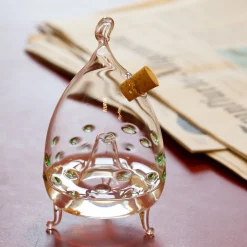 Waschbär Obstfliegenfalle, grün. New