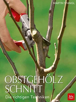 Waschbär Obstgehölzschnitt. Clearance
