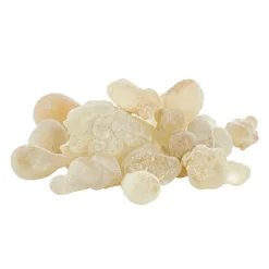 Waschbär Oman Weihrauch „Royal Hojari“ Hot