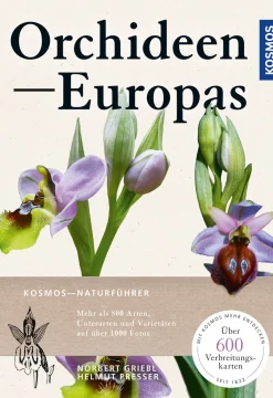 Waschbär Orchideen Europas. Sale