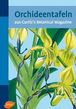 Waschbär Orchideentafeln aus Curtis’s Botanical Magazine. Online