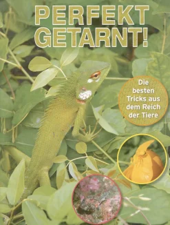 Waschbär Perfekt getarnt! Die besten Tricks aus dem Reich der Tiere.