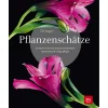 Waschbär Pflanzenschätze. Exotische Arten für drinnen und draußen. Outlet